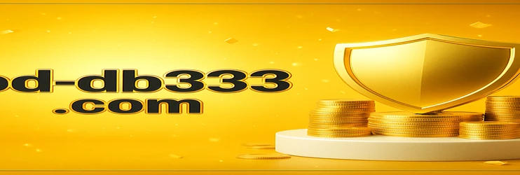 db333-এর ভিআইপি প্রোগ্রাম